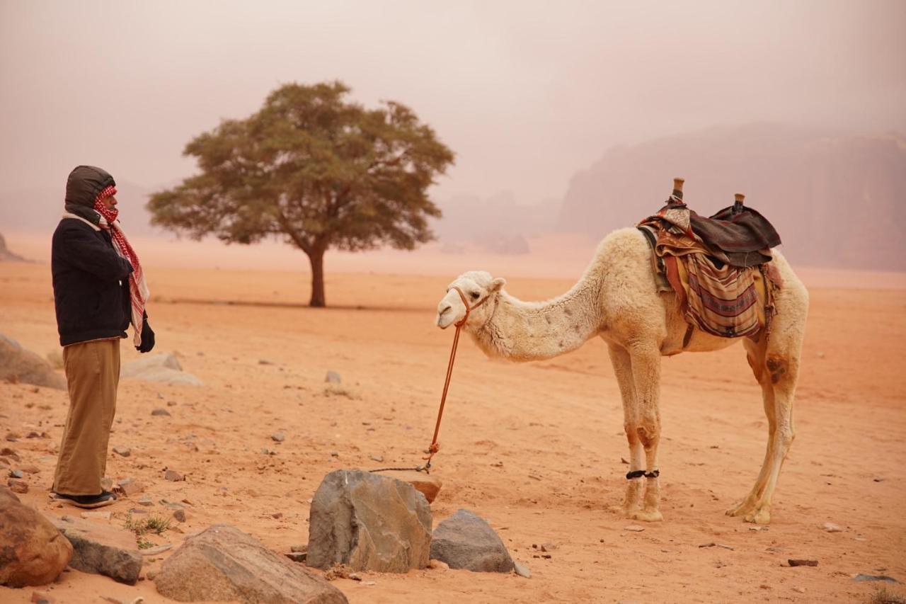 Magic Bedouin Star & Tours Hotel Wadi Rum Exterior photo